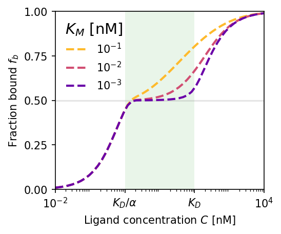 Steady-state bound fraction