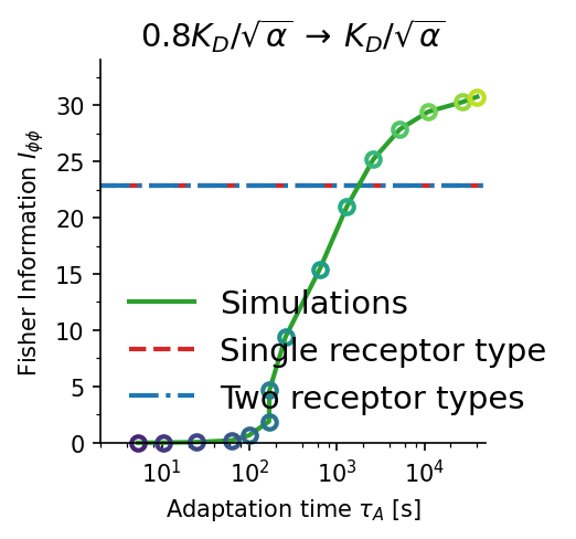 Adaptation time panel B