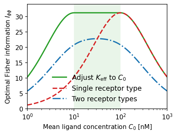 Fisher information comparison between receptor models